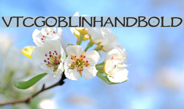 VTCGoblinHandBold Font examples