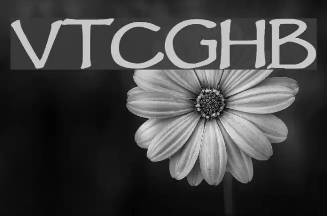 VTCGoblinHandBold Font examples