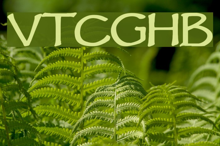 VTCGoblinHandBold Font examples