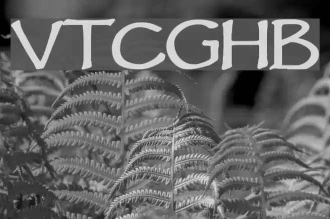 VTCGoblinHandBold Font examples