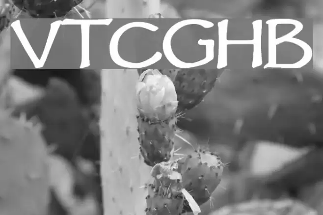 VTCGoblinHandBold Font examples