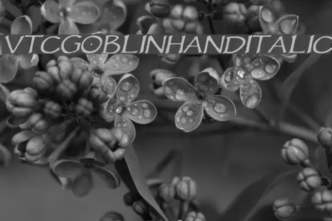 VTCGoblinHandItalic Font examples