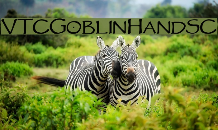 VTCGoblinHandSC Font examples
