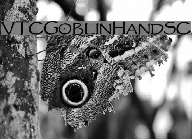 VTCGoblinHandSC Schriftart examples
