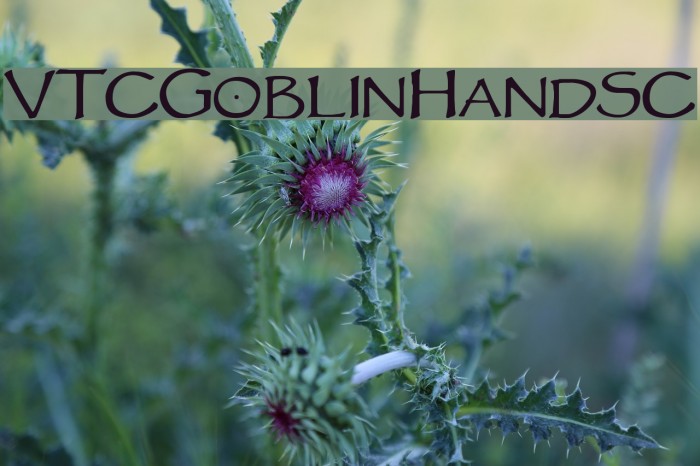 VTCGoblinHandSC Font examples