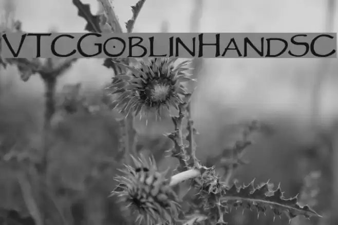 VTCGoblinHandSC Schriftart examples