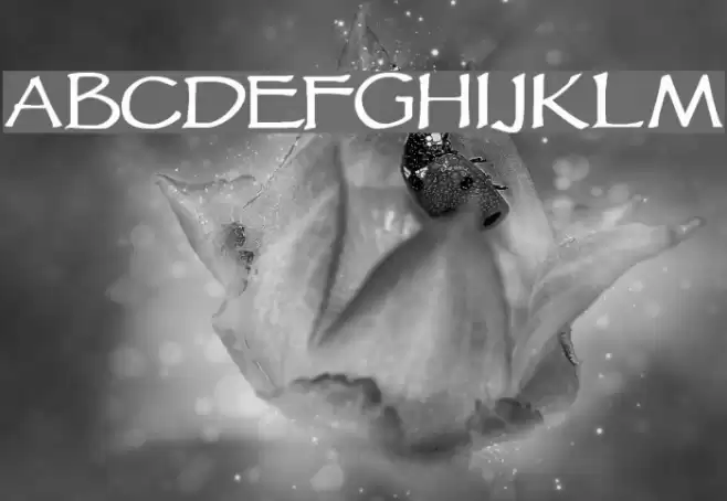 VTCGoblinHand خط examples