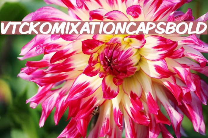 VTCKomixationCapsBold Font examples