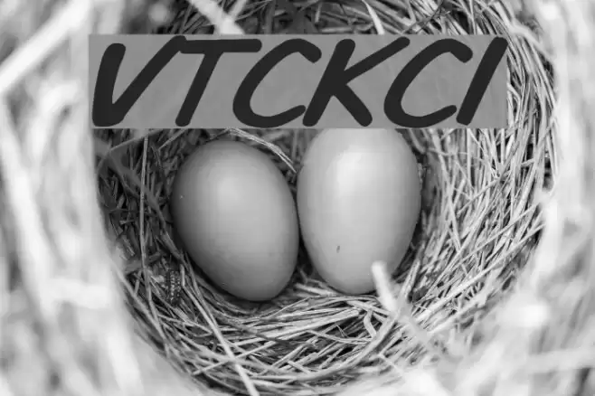 VTCKomixationCapsItalic Font examples