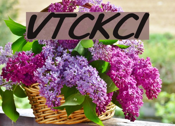 VTCKomixationCapsItalic Font examples