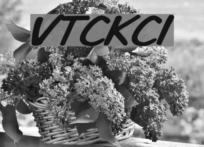 VTCKomixationCapsItalic Font examples