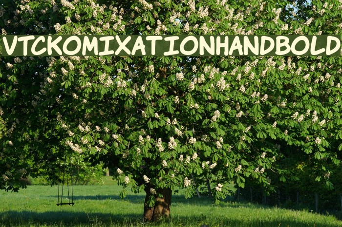 VTCKomixationHandBold Font examples