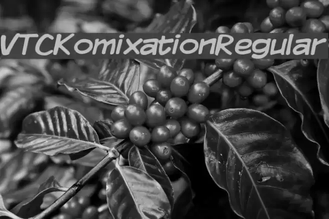 VTCKomixationRegular Font examples