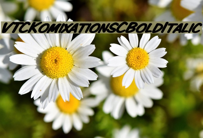 VTCKomixationSCBoldItalic Font examples