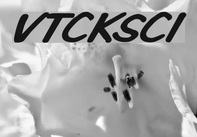 VTCKomixationSCItalic Schriftart examples