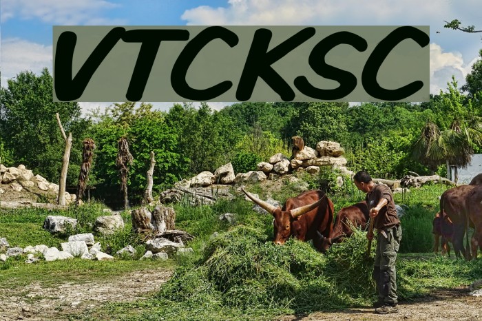 VTCKomixationSC Font examples
