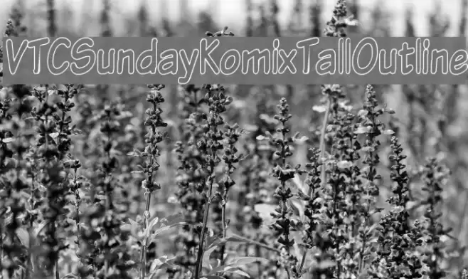 VTCSundayKomixTallOutline Font examples