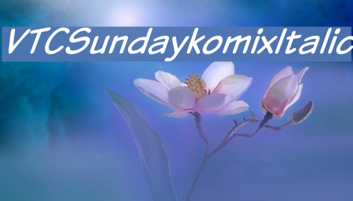 VTCSundaykomixItalic Font examples