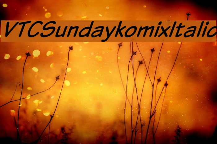 VTCSundaykomixItalic Font examples