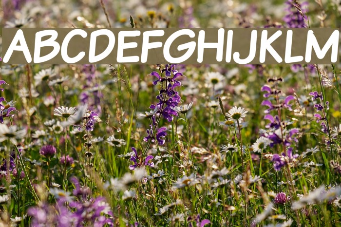 VTCSundaykomixcapsBold Font examples