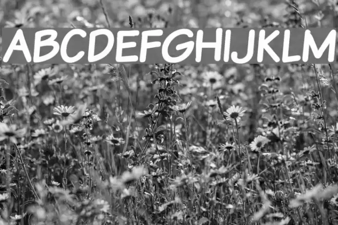 VTCSundaykomixcapsBold Font examples