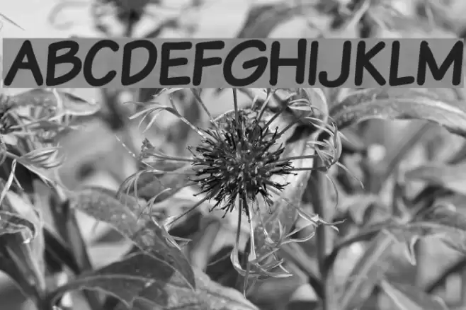 VTCSundaykomixcapsBold Font examples