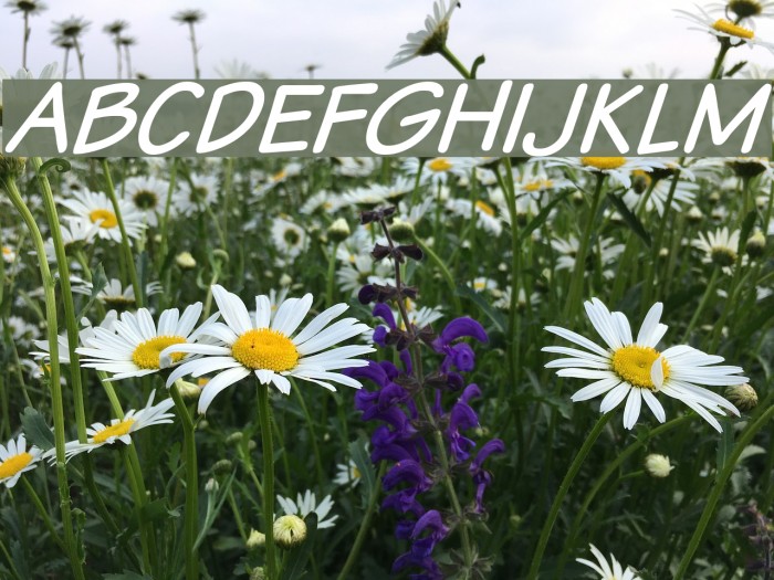 VTCSundaykomixcapsItalic Font examples