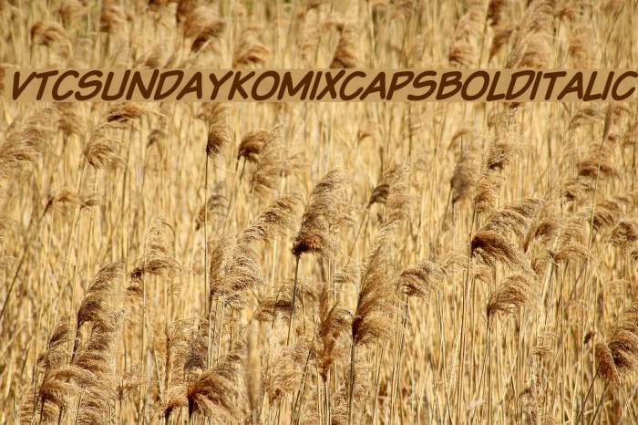 VTCSundaykomixcapsboldItalic Font examples