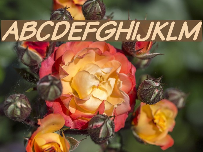 VTCSundaykomixcapsboldItalic Font examples