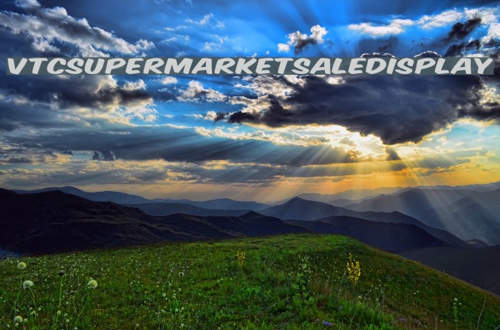 VTCSuperMarketSaleDisplay Font examples