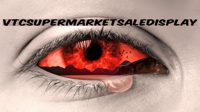 VTCSuperMarketSaleDisplay Font examples