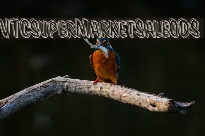 VTCSuperMarketSaleODS Font examples