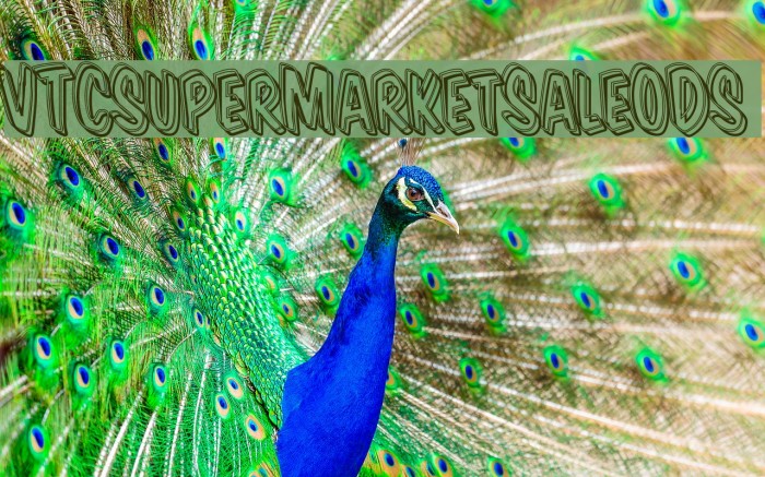 VTCSuperMarketSaleODS Example 1