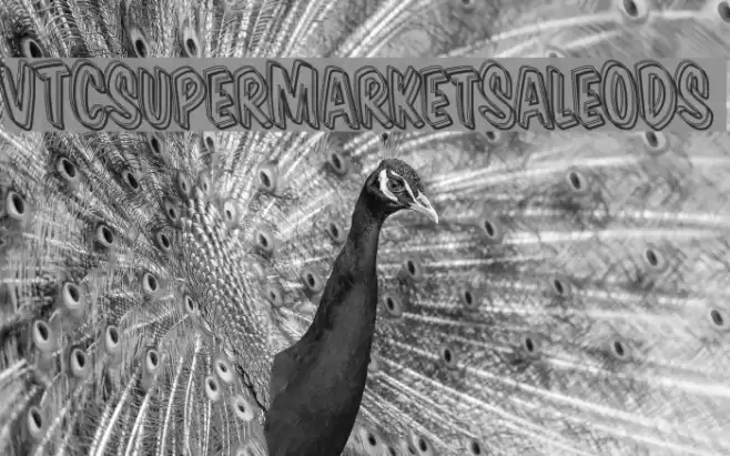 VTCSuperMarketSaleODS Font examples