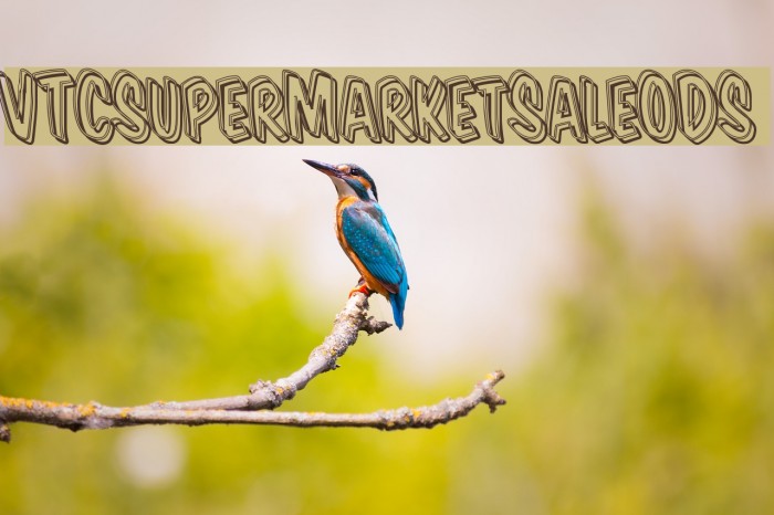 VTCSuperMarketSaleODS Example 3