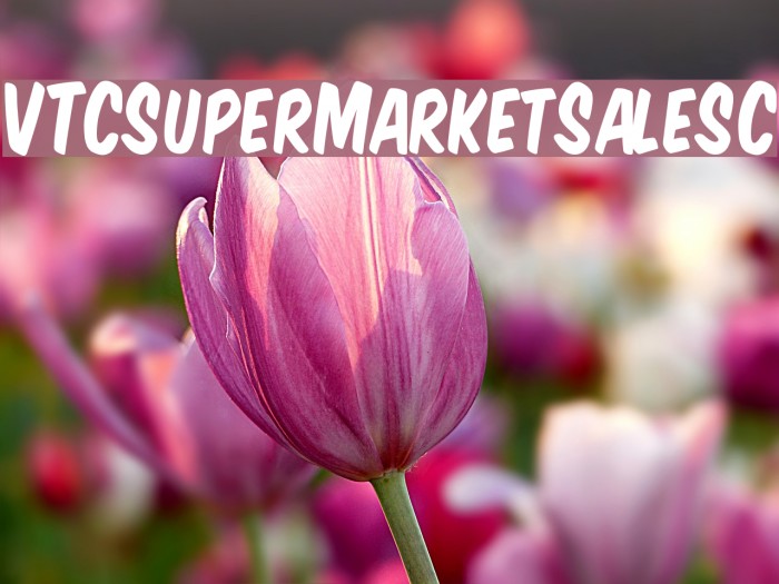 VTCSuperMarketSaleSC Font examples