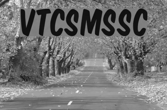 VTCSuperMarketSaleSC examples