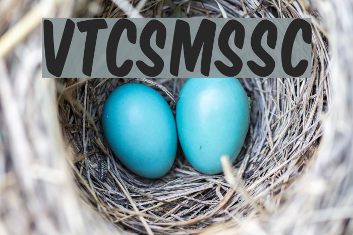 VTCSuperMarketSaleSC Font examples
