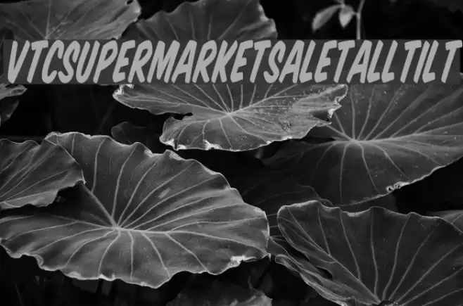 VTCSuperMarketSaleTallTilt Font examples
