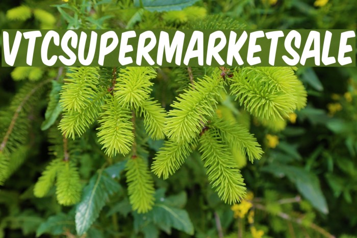 VTCSuperMarketSale Font examples