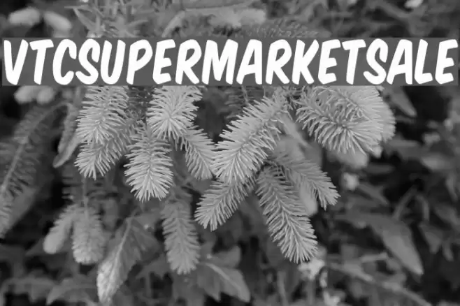 VTCSuperMarketSale Font examples