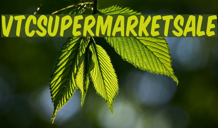 VTCSuperMarketSale Font examples