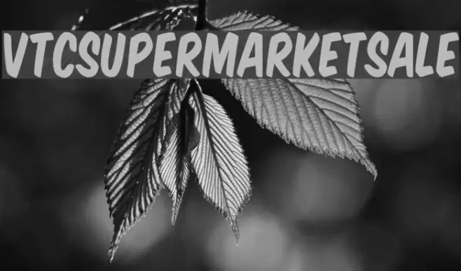 VTCSuperMarketSale Font examples