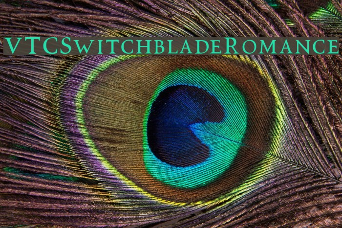 VTCSwitchbladeRomance Font examples