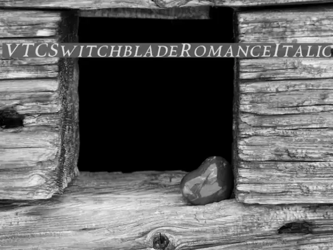 VTCSwitchbladeRomanceItalic Font examples