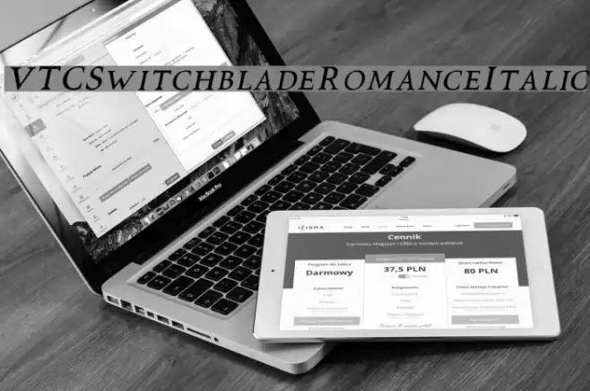 VTCSwitchbladeRomanceItalic Font examples