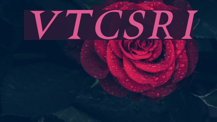 VTCSwitchbladeRomanceItalic Font examples