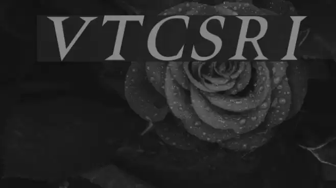 VTCSwitchbladeRomanceItalic Schriftart examples