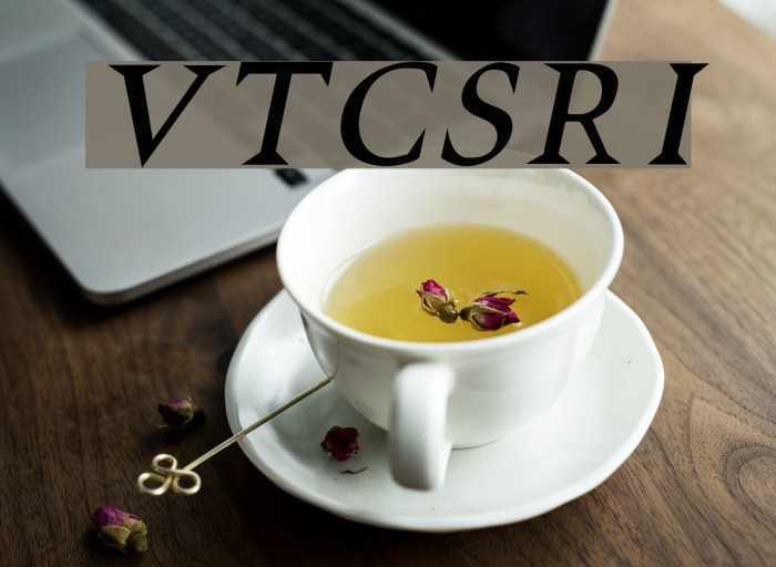 VTCSwitchbladeRomanceItalic Font examples