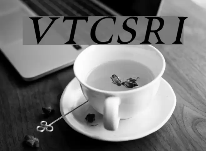 VTCSwitchbladeRomanceItalic Schriftart examples